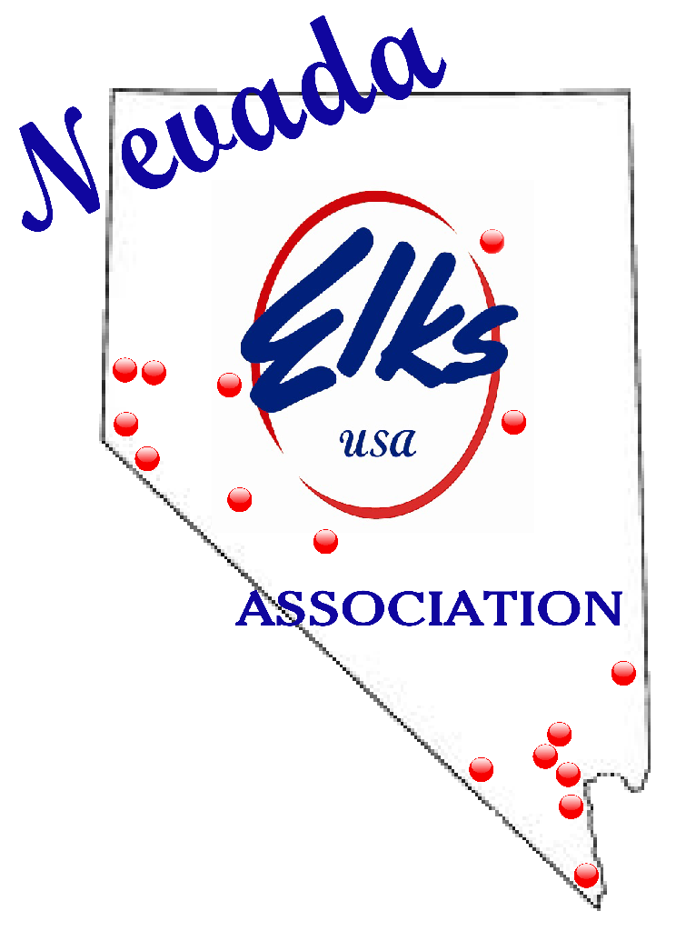 NSEA Logo