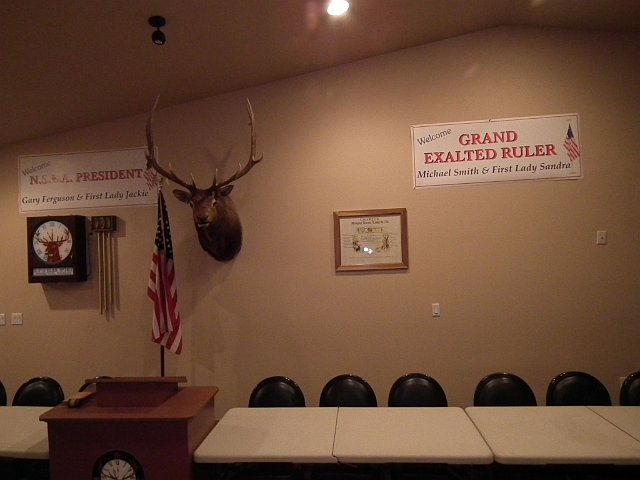 nsea3184.jpg