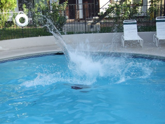 DSCF2807.jpg
