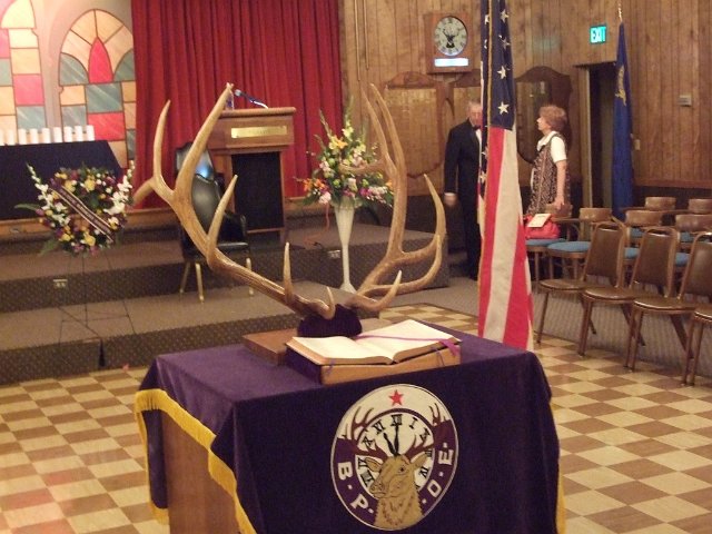 nsea7083.jpg