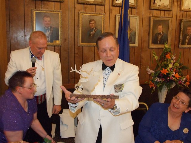 nsea7340.jpg