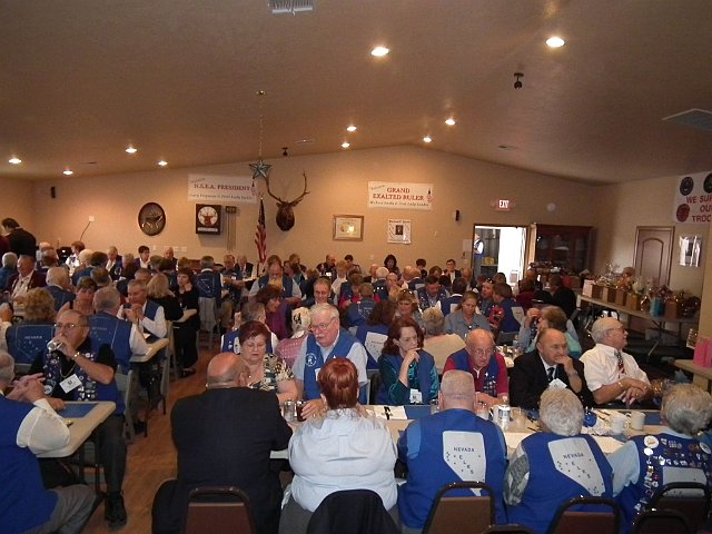 nsea3739.jpg