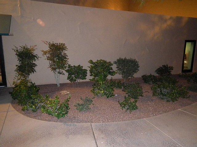 DSCF7071_2048x1536.jpg