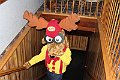IMG_0401